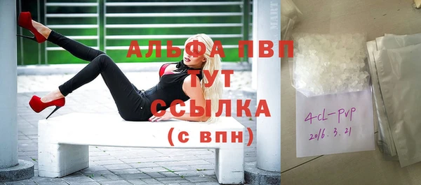 ГАЛЛЮЦИНОГЕННЫЕ ГРИБЫ Новозыбков