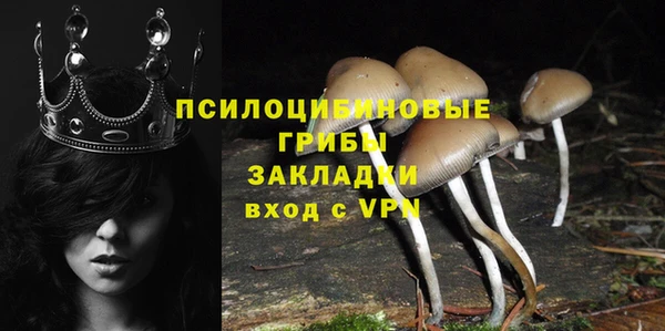 2c-b Новодвинск