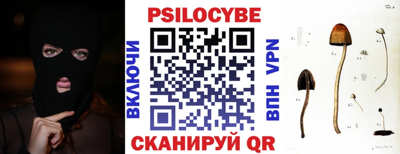 Псилоцибиновые грибы Cubensis  Энгельс 