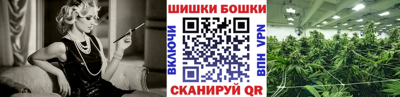 закладки Энгельс Канабис индика